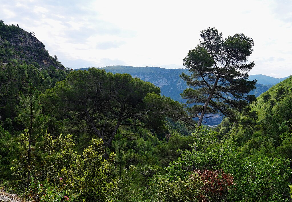 Facades - enduits Alpes-Maritimes