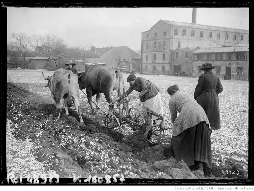 Facades - enduits Val-de-Marne