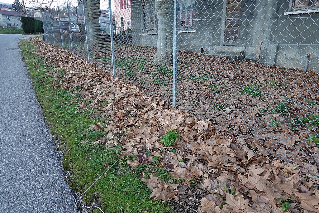 Facades - enduits Bellegarde-sur-Valserine
