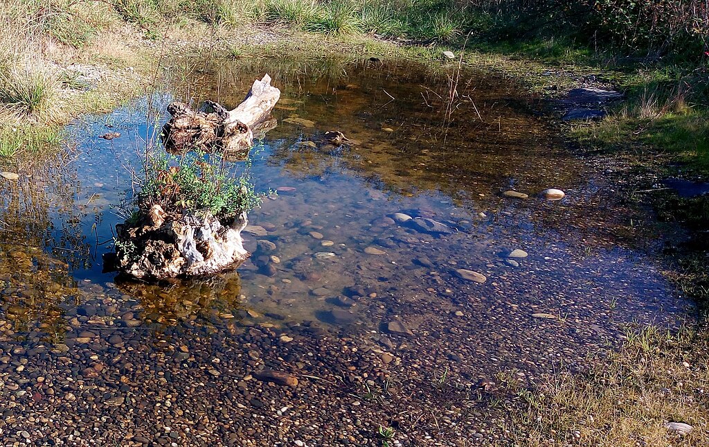 Facades - enduits Wittenheim