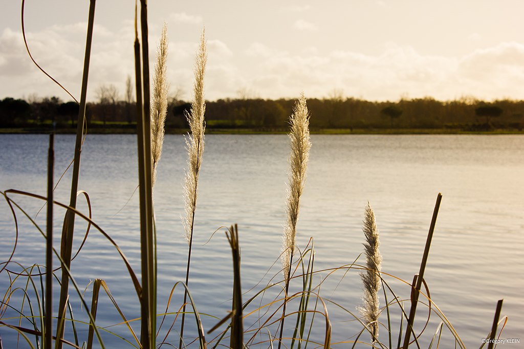 Facades - enduits Tournefeuille