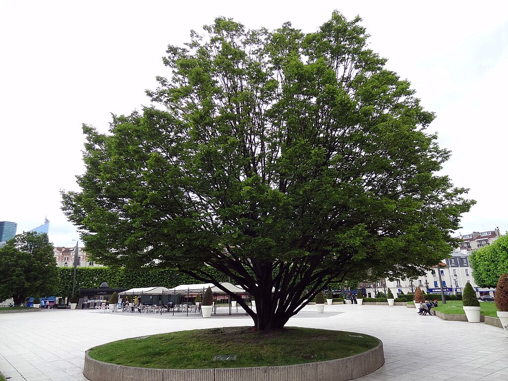 Facades - enduits Puteaux