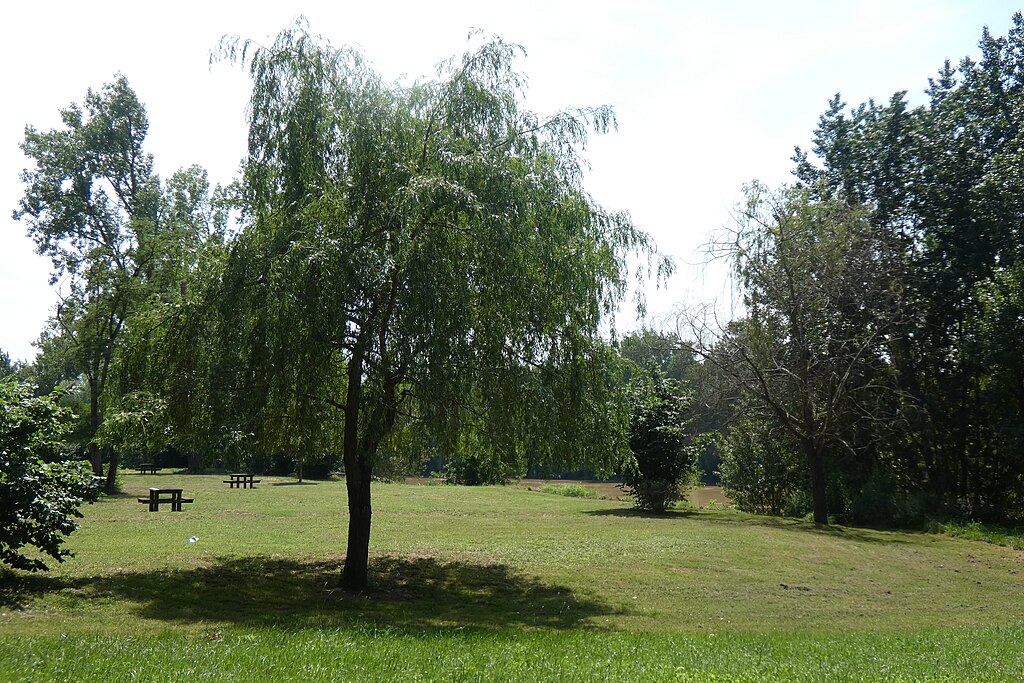 Facades - enduits Marmande